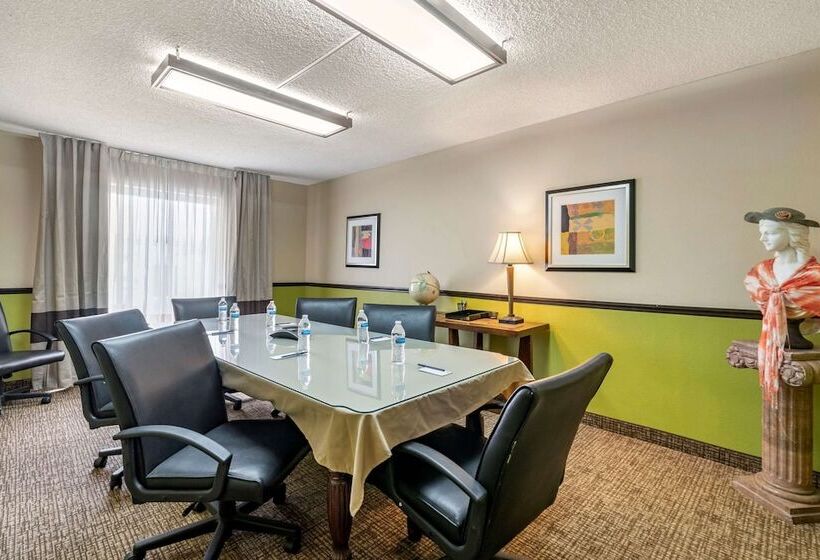 فندق Comfort Inn & Suites St. Pete  Clearwater International Airport