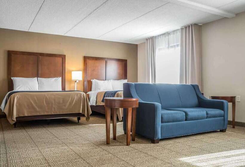 Hotel Comfort Inn The Pointe