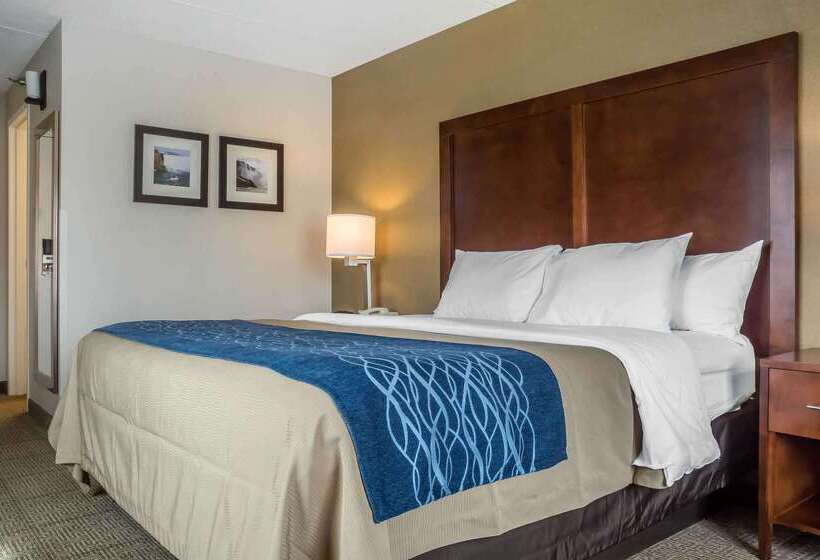 هتل Comfort Inn The Pointe