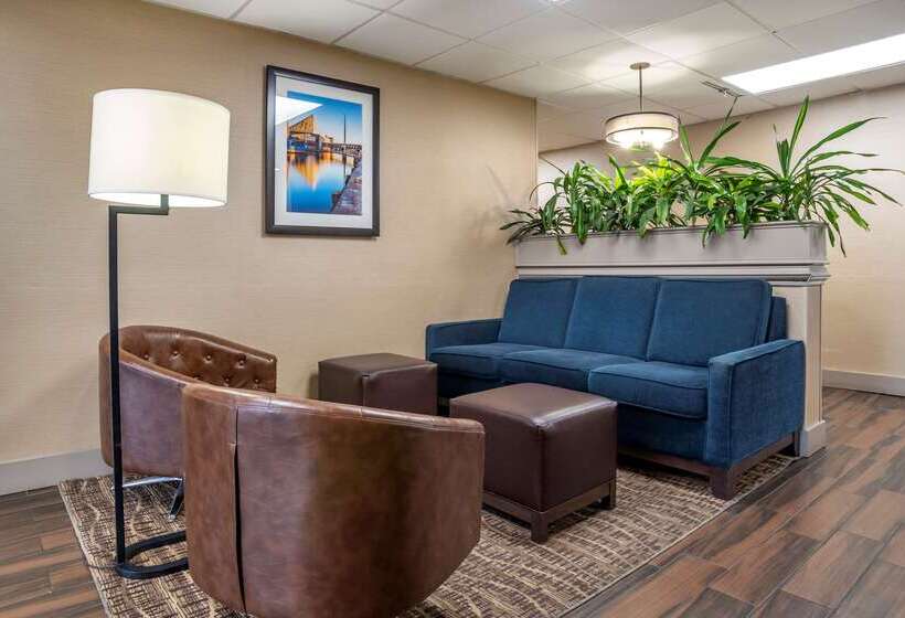 호텔 Comfort Inn