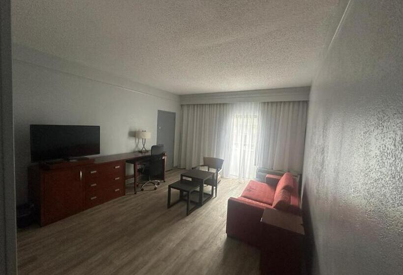 בית מלון כפרי Super 8 By Wyndham Dallas Love Field Airport