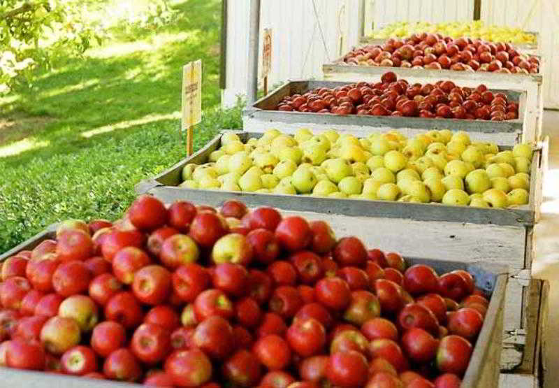 בית מלון כפרי Courtyard Sacramento Rancho Cordova