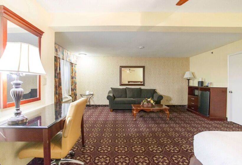 酒店 Days Inn By Wyndham Shenandoah