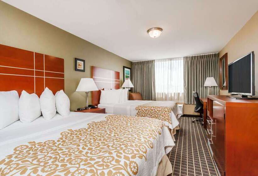 Hotel Days Inn By Wyndham Windsor Locks / Bradley Intl Airport