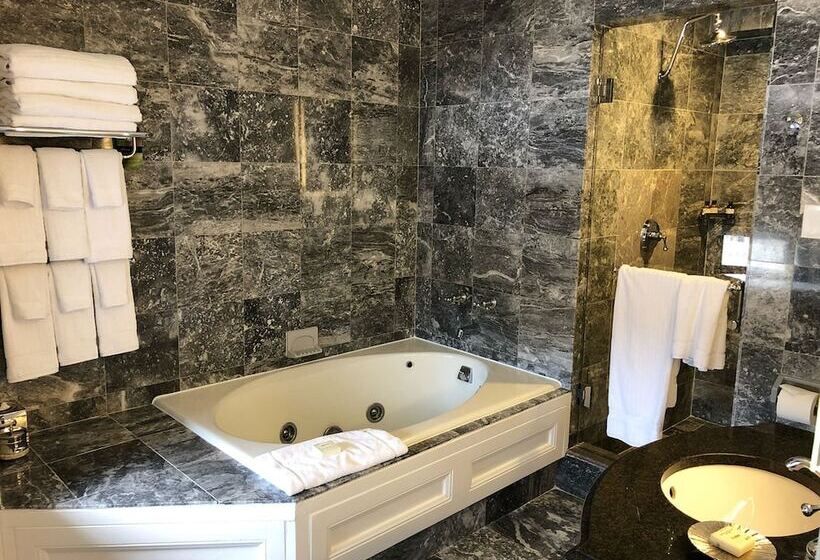Fotos del hotel Fairmont Copley Plaza:  22
