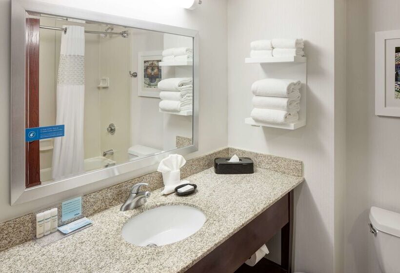 Отель Hampton Inn St. Louisdowntown