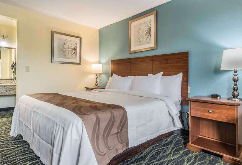 هتل Quality Inn Bellevue