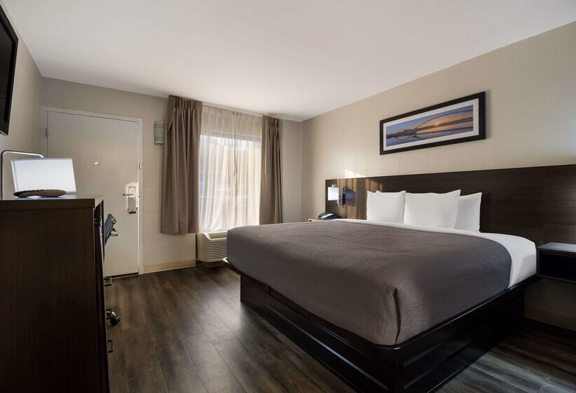 Otel Quality Inn Coliseum