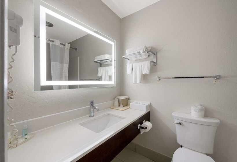 酒店 Quality Inn University Area