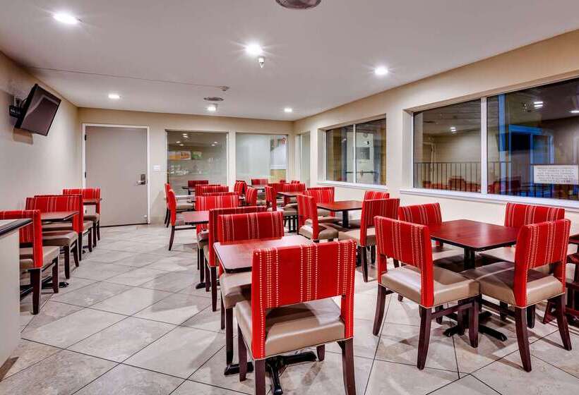 ホテル Quality Inn Near Six Flags Discovery Kingdomnapa Valley