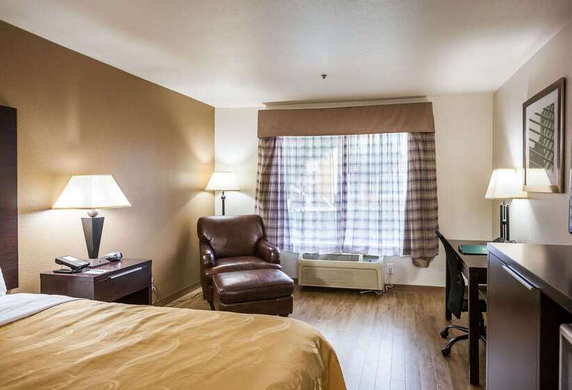 ホテル Quality Inn Near Six Flags Discovery Kingdomnapa Valley