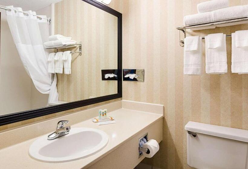 ホテル Quality Inn