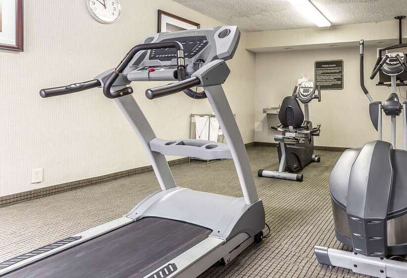 ホテル Quality Inn & Suites