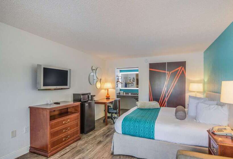 酒店 Rodeway Inn Port Richey North
