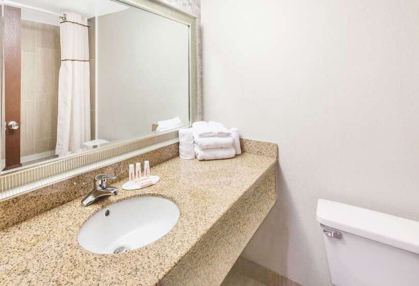 هتل Wingate By Wyndham Detroit Metro Airport
