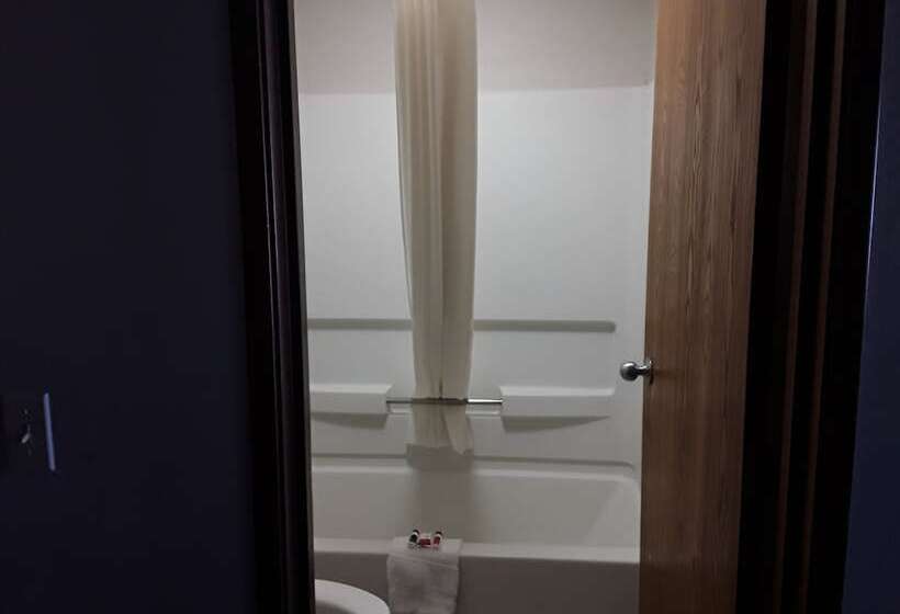 酒店 Baymont Inn & Suites Richmond