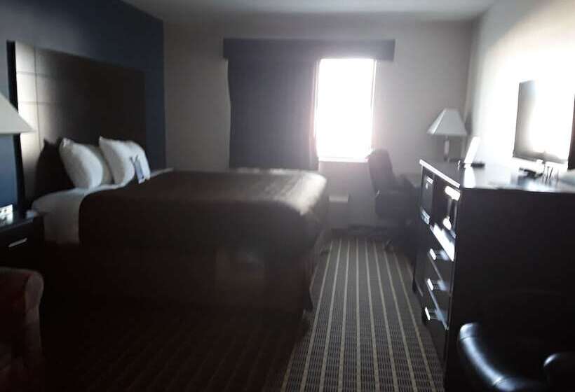 酒店 Baymont Inn & Suites Richmond