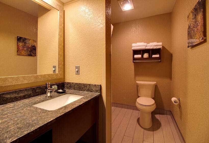 Отель Best Western Harbour Pointe Lakefront