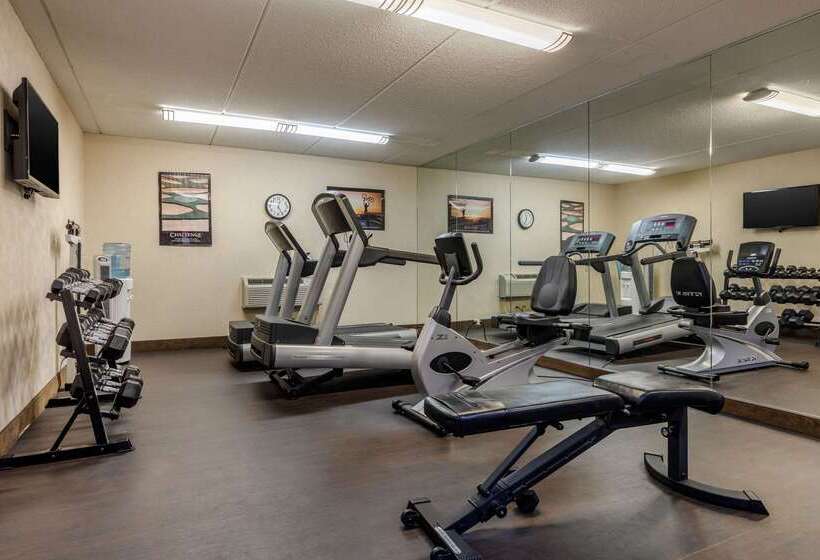 בית מלון כפרי Suburban Studios Arlington Heights Elk Grove