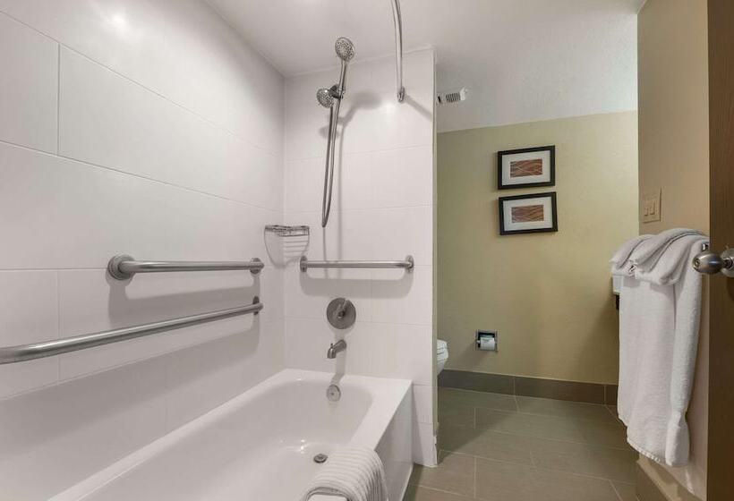 فندق Comfort Inn & Suites North At The Pyramids