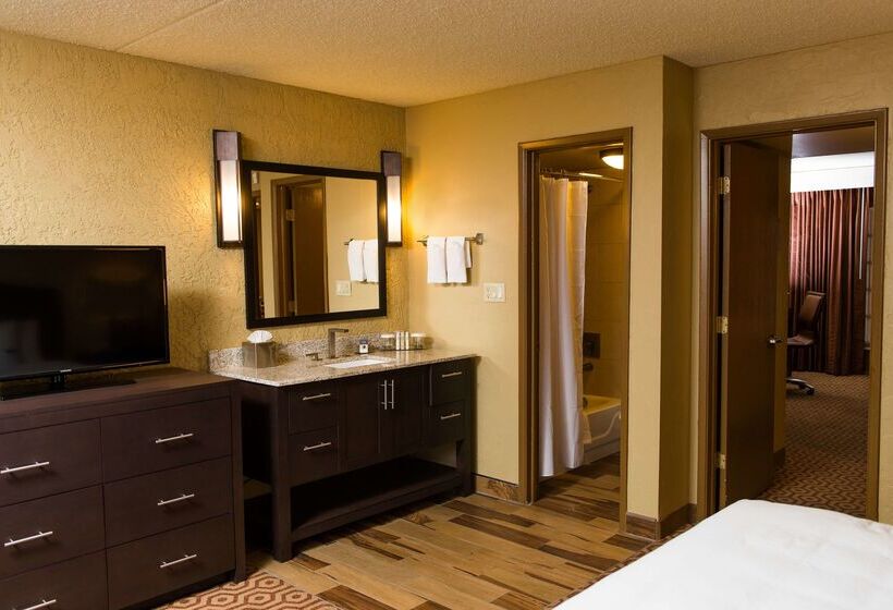 בית מלון כפרי Doubletree Suites By Hilton Tucson   Williams Center