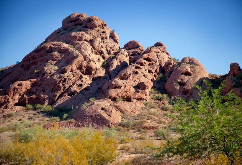 ホテル Doubletree Suites By Hilton Phoenix