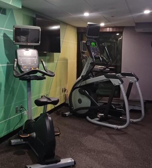 בית מלון כפרי Holiday Inn   Mcallen   Medical Center Area, An Ihg