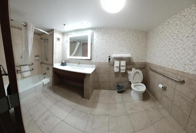 בית מלון כפרי Holiday Inn   Mcallen   Medical Center Area, An Ihg
