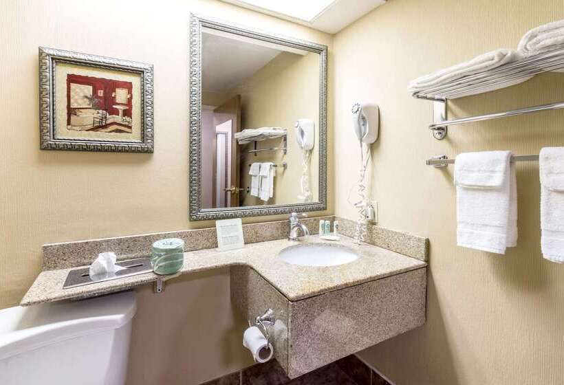 Отель Quality Inn