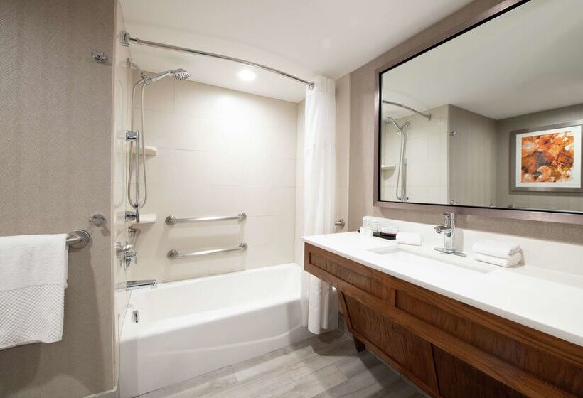 هتل Embassy Suites By Hilton Colorado Springs