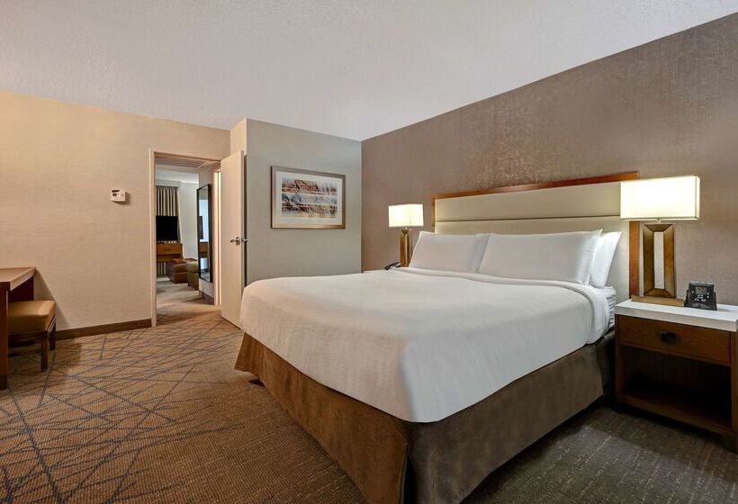 Отель Embassy Suites By Hilton Colorado Springs