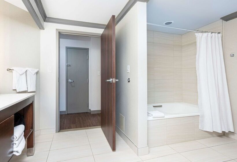 בית מלון כפרי Embassy Suites By Hilton Indianapolis Downtown