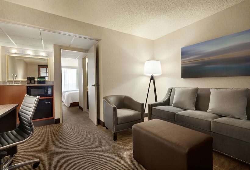 Hotel Embassy Suites By Hilton Oklahoma City Will Rogers Airport