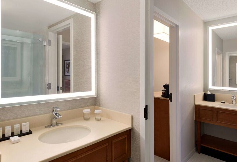 Fotos del hotel Embassy Suites By Hilton Orlando International Drive Icon Park:  53