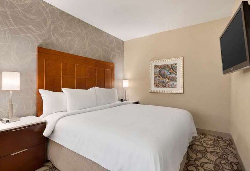 هتل Embassy Suites By Hilton San Antonio Airport