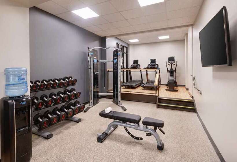 בית מלון כפרי Embassy Suites By Hilton Tysons Corner