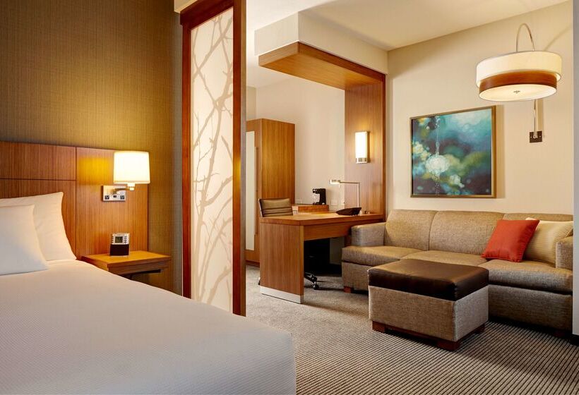 هتل Hyatt Place Hampton Convention Center