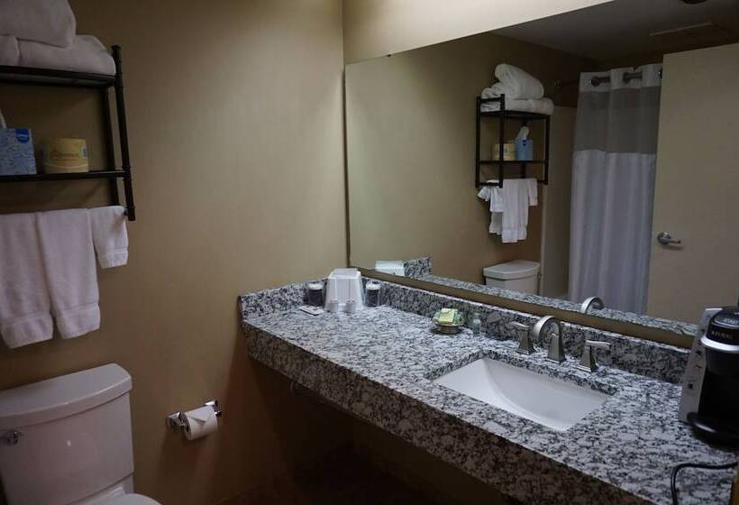 호텔 Findlay Inn And Conference Center