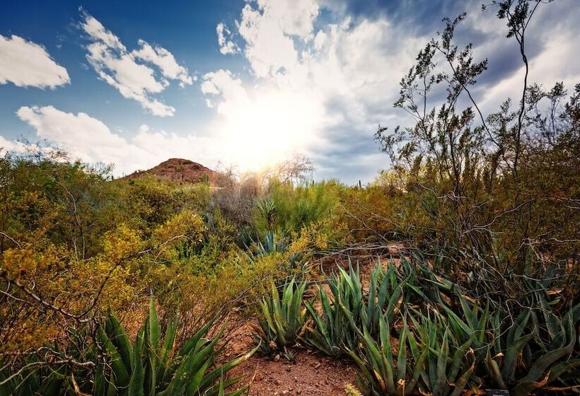 هتل Holiday Inn And Suites Phoenix Airport North, An Ihg