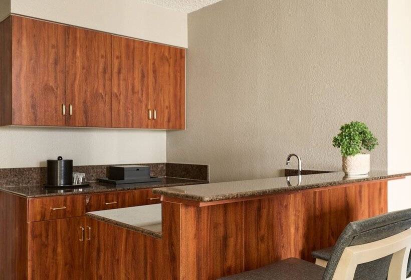 هتل Marriott El Paso
