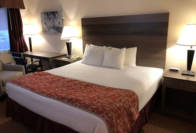 호텔 Mho Inn And Suites