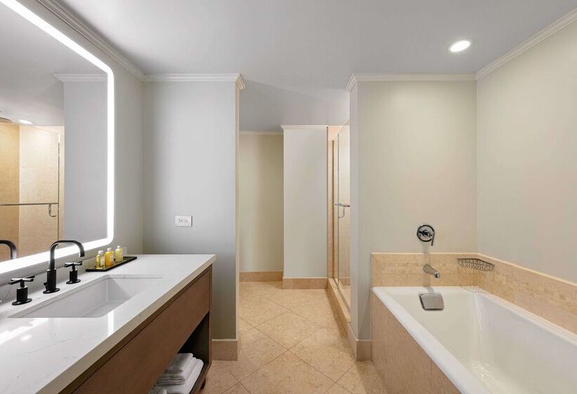 Fotos del hotel Royal Sonesta Chicago Downtown:  32
