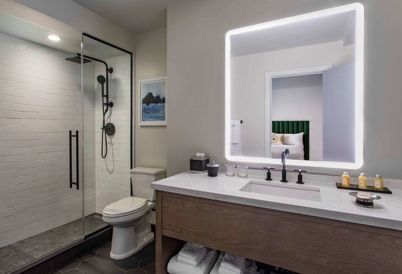 Fotos del hotel Royal Sonesta Chicago Downtown:  8
