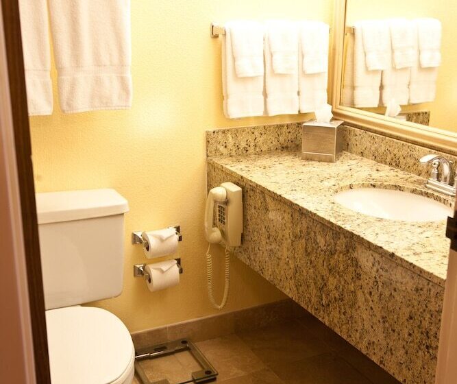 هتل Wyndham El Paso Airport  And Water Park