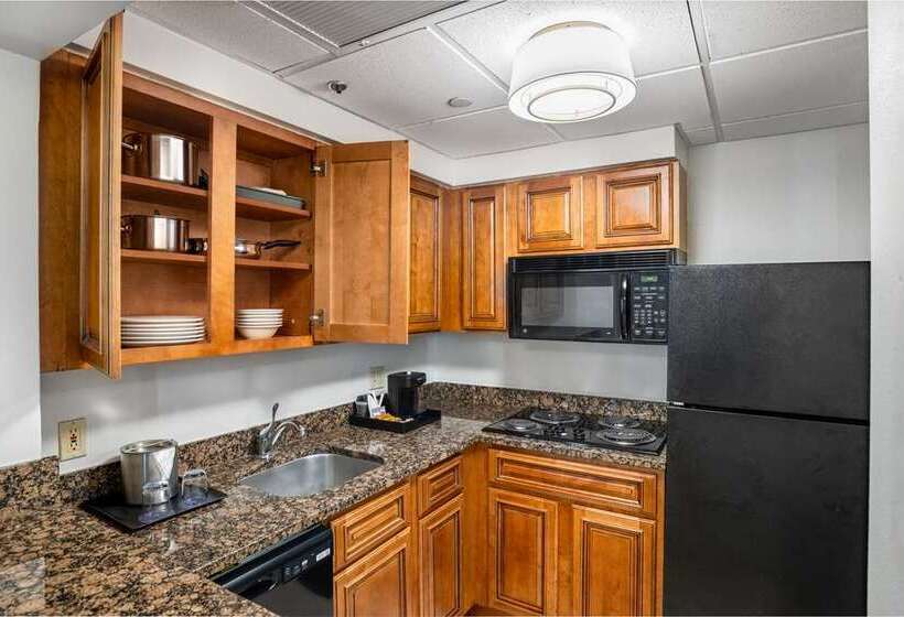 Fotos del hotel Doubletree By Hilton Houston Medical Center  & Suites:  8