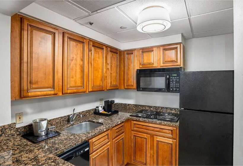 Fotos del hotel Doubletree By Hilton Houston Medical Center  & Suites:  9