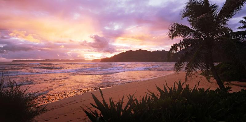 Hanalei Colony Resort