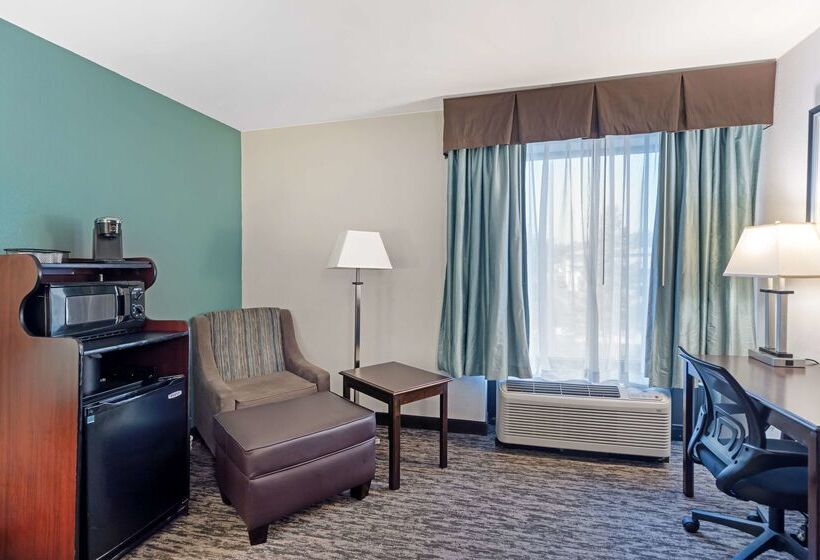 هتل Best Western Plus Chicagoland Countryside