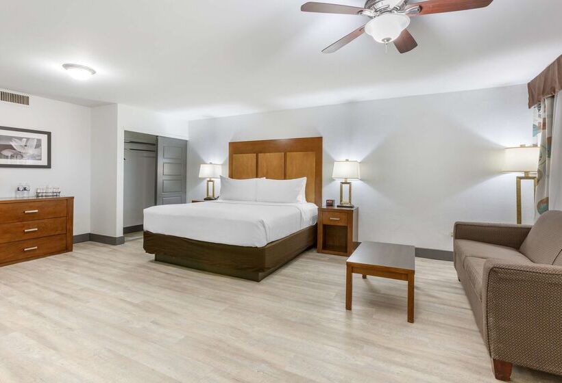 Hotel Best Western Plus El Paso Airport  & Conference Center