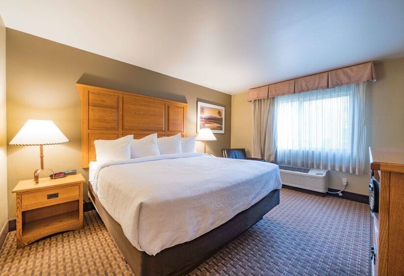 فندق Best Western Plus Grantree Inn